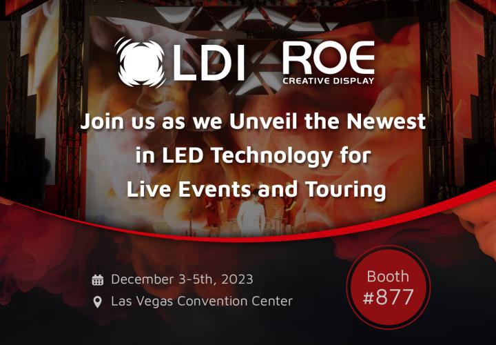 ldi x roe visual